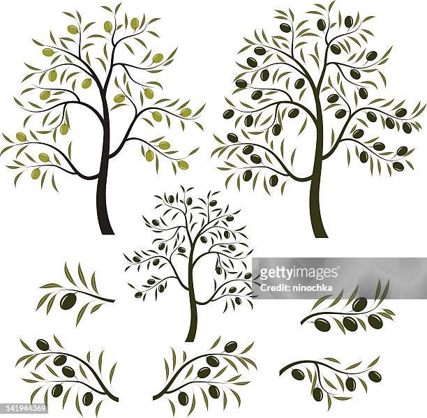 illustrations, cliparts, dessins animés et icônes de olivier tree - olivier