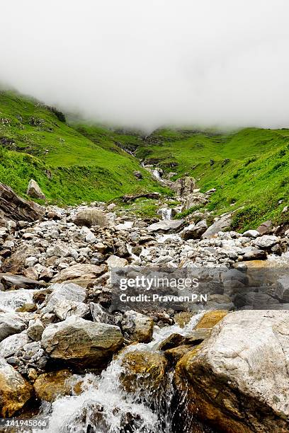 valley of flowers - valley of flowers uttarakhand foto e immagini stock