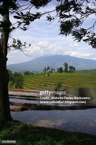 kanlaon - negros occidental stock pictures, royalty-free photos & images