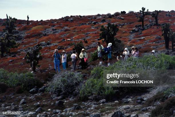 Groupe de touristes visitant les îles Galápagos, en 1992, Equateur.