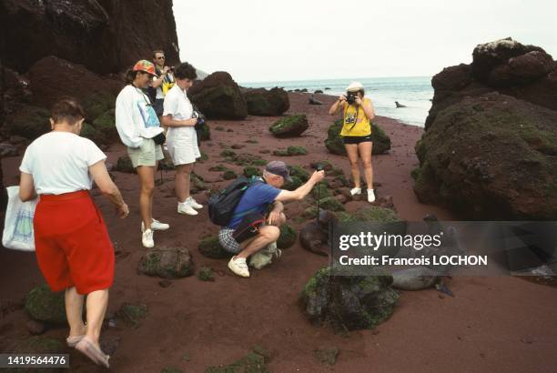 Groupe de touristes photographiant des otaries dans les îles Galápagos, en 1992, Equateur.