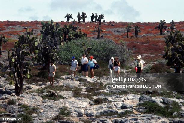 Touristes, figuiers de Barbarie sur les îles Galápagos, en 1992, Equateur.