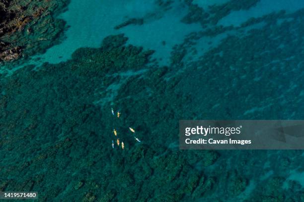 group of kayakers paddle in the ocean off of kona, hawaii - kailua kona stock pictures, royalty-free photos & images