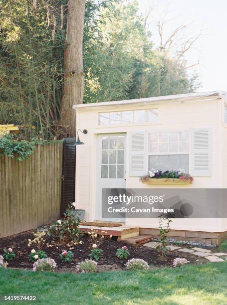 small ivory shed with blue shutters and garden - backyard no people stock pictures, royalty-free photos & images