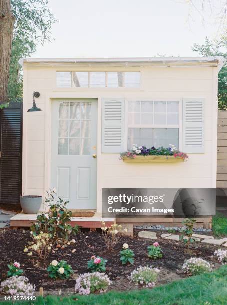 tiny shed with blue door, shutters, and garden - backyard no people stock pictures, royalty-free photos & images
