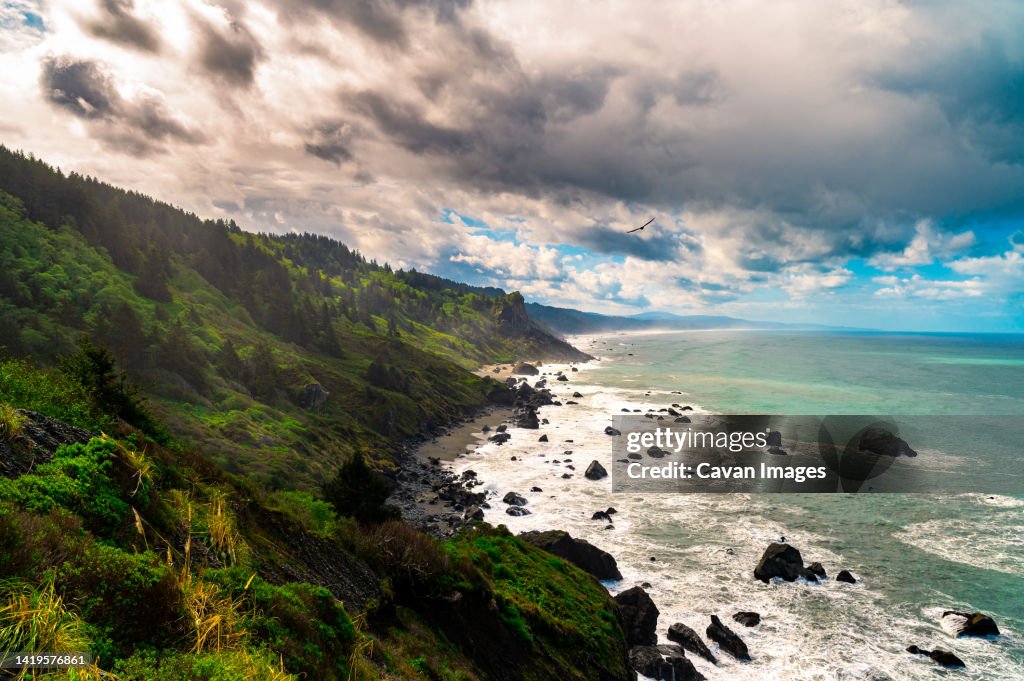 California coastline during a cloudy day
