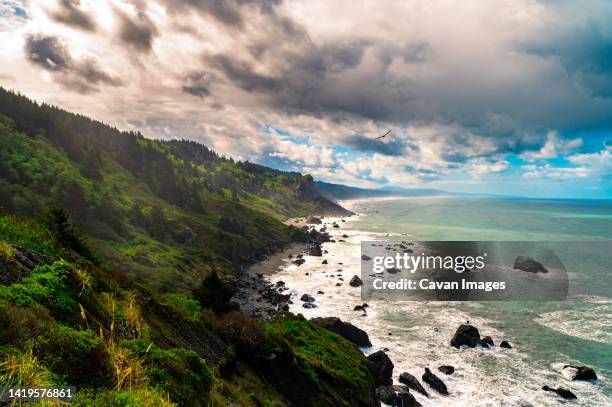 california coastline during a cloudy day - coast redwood stock pictures, royalty-free photos & images