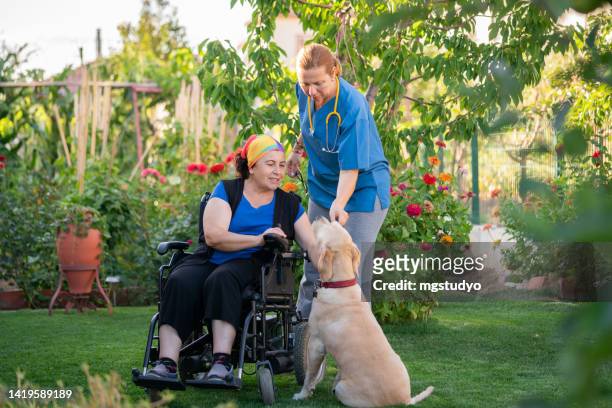 donna disabile che trascorre del tempo con il suo caregiver e cane guida nel giardino della casa di cura - service dog foto e immagini stock