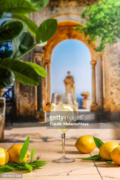 limoncello spritz aperitivo drink cocktail al giardino di limoni di positano con limoni freschi - citrus limon foto e immagini stock