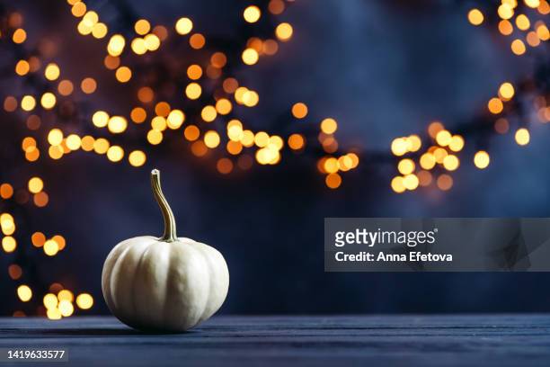 white seasonal pumpkin against festive background with many round illuminating bokeh. thanksgiving day and halloween concept. copy space for your design - food photography dark background blue stock-fotos und bilder
