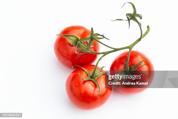 ripe tomatoes - tomates stock-fotos und bilder