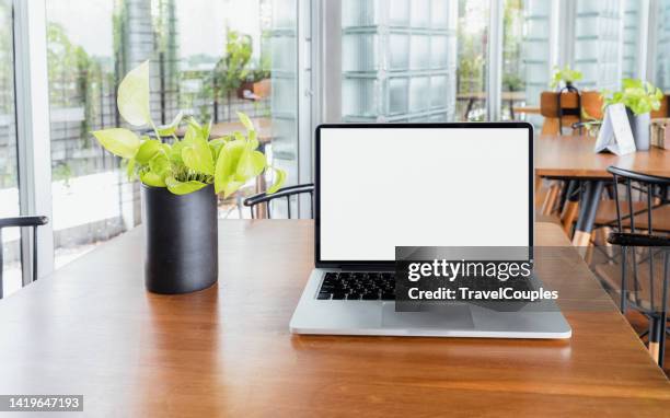 Computer Taable Background 641 Computer Table Plant Stock Photos, High-Res Pictures, and Images ...