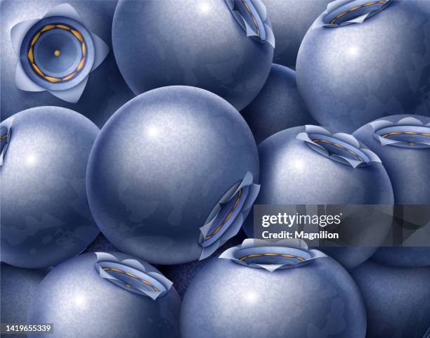 blueberries background - succulent macro stock illustrations