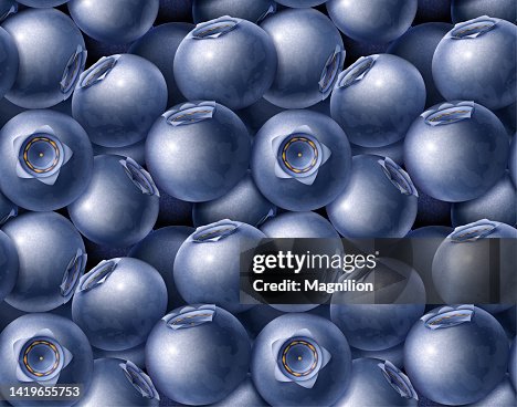 Blueberries Seamless Pattern Background Blueberries Seamless Pattern Background