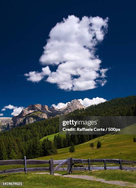 scenic view of field against sky - raffaele corte stock pictures, royalty-free photos & images