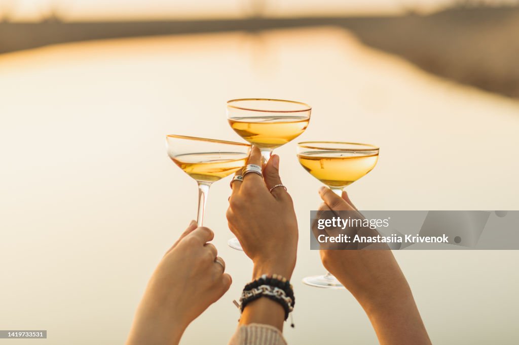 Young friends clinking with fresh wine sitting by the sea.