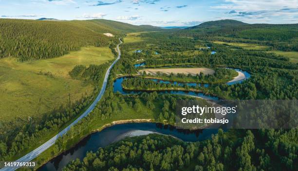 beautiful forest and river summer landscape - jamtland stockfoto's en -beelden