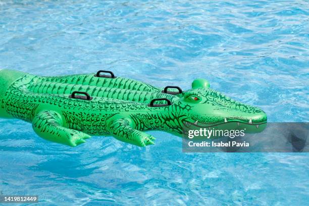 inflatable crocodile floating in pool - crocodile ストックフォトと画像