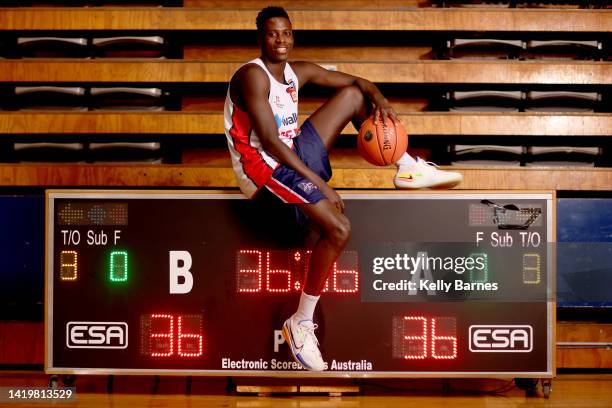 Fiston Apasio Adelaide 36ers Portrait Session Photos and Premium High Res Pictures ...