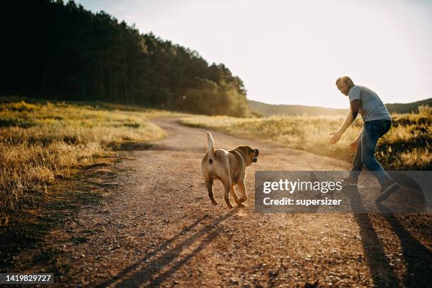 a man and a dog at sunset - the natural world stock pictures, royalty-free photos & images