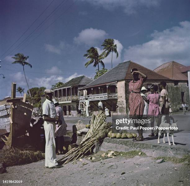 5,334 St Kitts People Stock Photos, High-Res Pictures, and Images - Getty Images
