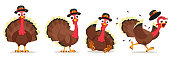 Set of turkey character in different poses on a white. Thanksgiving Day