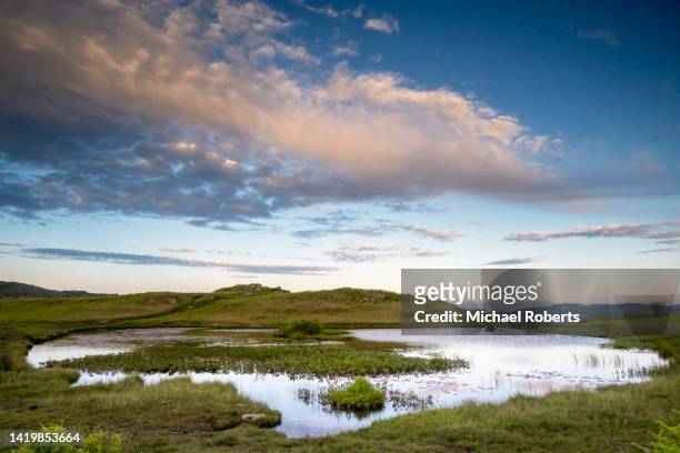 lily tarn on loughrigg fell in the lake district national park.. - loughrigg fell stock pictures, royalty-free photos & images