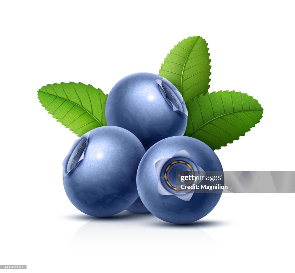 Blueberries with Green Leaves