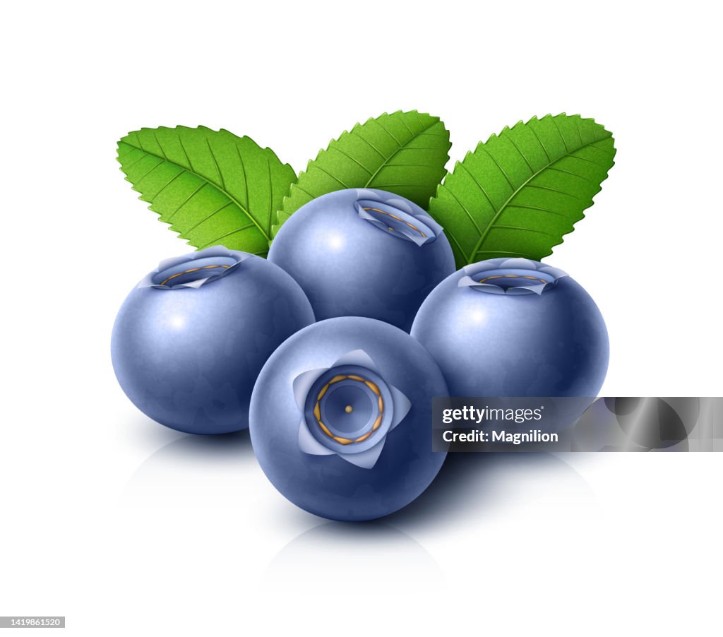 Blueberries with Green Leaves