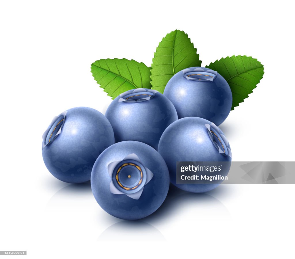 Blueberries with Green Leaves