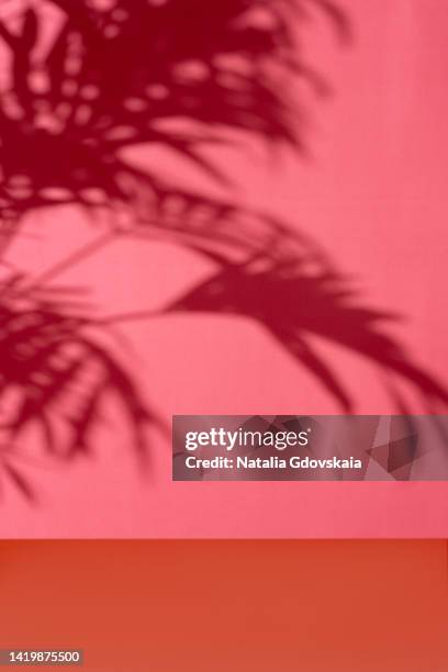 soft focused tropical palm tree leaves shadow on pink or red colored background. marketing defocused botany design backdrop in silhouette. concept of natural organic product display. summer advertisement. vertical, copy space - tropischer baum stock-fotos und bilder