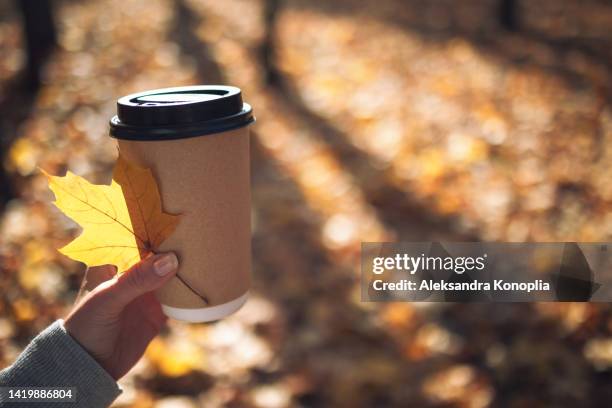 female hand holding coffee cup and yellow maple leaf outdoors - coffee cup mockup stock pictures, royalty-free photos & images