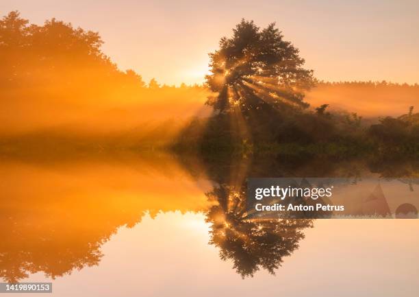 foggy dawn on the lake. autumn landscape - fog clearing stock pictures, royalty-free photos & images