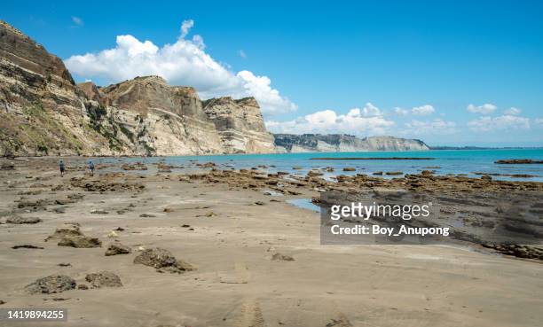 the scenery view of cape kidnappers an iconic famous landscape of hawke's bay region, new zealand. - cape kidnappers fotografías e imágenes de stock