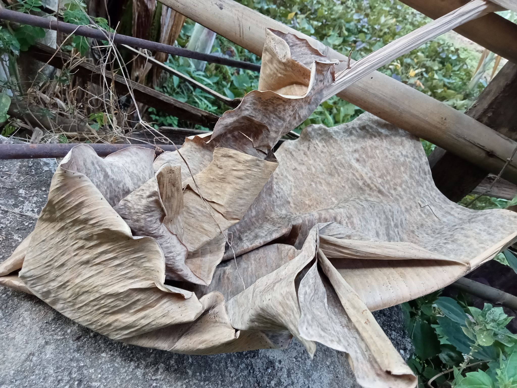 materiale naturale