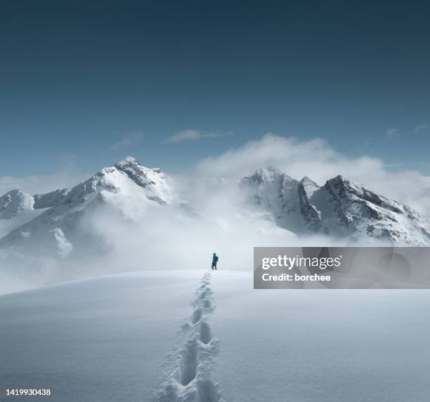 mountain hiking - standing on mountain peak stock pictures, royalty-free photos & images