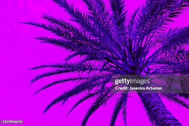 dreamy neon palm tree - psychedelic trip stock pictures, royalty-free photos & images