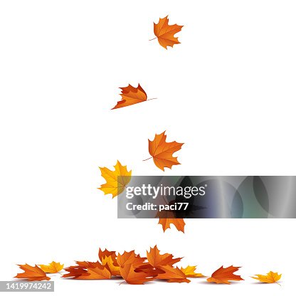 Herbst Blätter fallen. Herbst Blätter fallen.