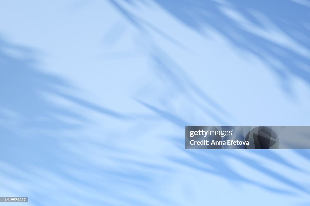 Blue wall with shadows in flat lay style. Perfect background for your design