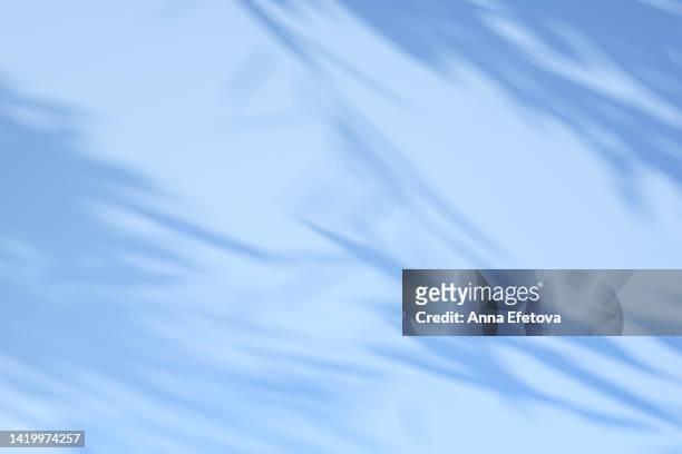 blue wall with shadows in flat lay style. perfect background for your design - schatten im mittelpunkt stock-fotos und bilder