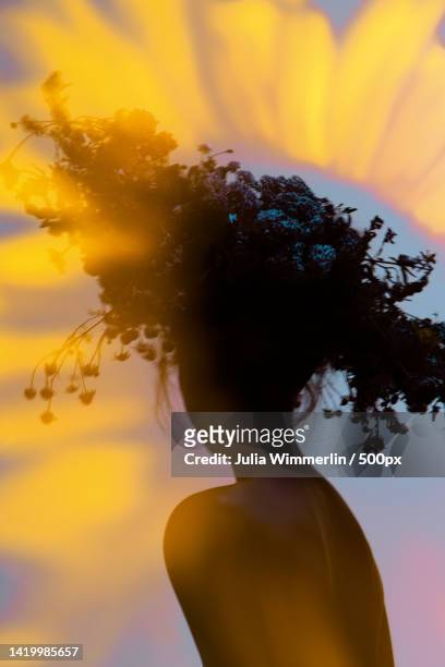 silhouette woman with flower crown in hair against blue sunset - bloemkroon stockfoto's en -beelden