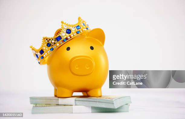 goldenes sparschwein mit krone, das auf einem stapel amerikanischer währung steht - victory lane stock-fotos und bilder