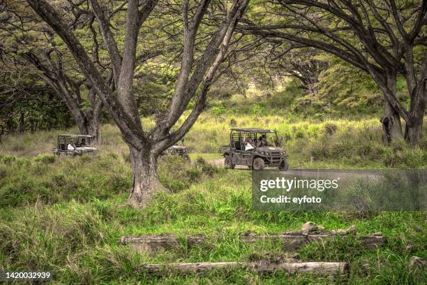 windward side recreation - off road racing stock pictures, royalty-free photos & images