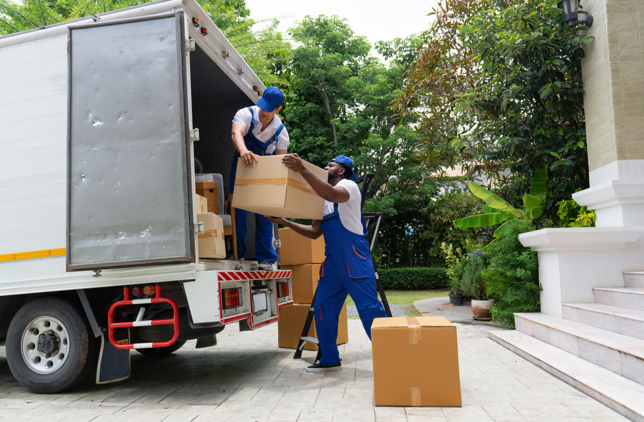 professional movers