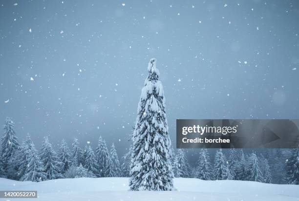 schnee an einem weihnachtstag - christmas scenes stock-fotos und bilder