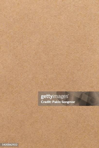 brown color eco recycled kraft paper sheet texture cardboard background. - papier kraft photos et images de collection