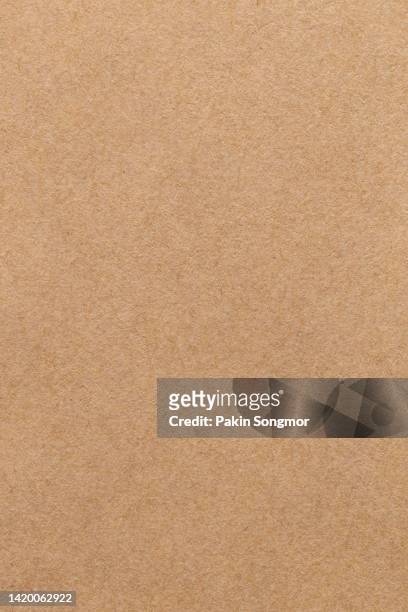 4,093 Brown Paper Bag Background Photos and Premium High Res Pictures -  Getty Images