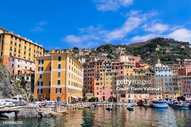 marina of camogli, bordered by the characteristic colorful tall buildings - liguria, italy - camogli bildbanksfoton och bilder