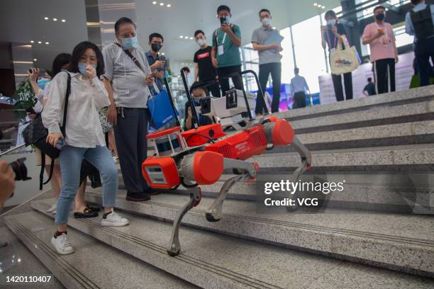 Visitors watch as a Jueying X20 robotic dog developed by DeepRobotics Co. Ltd walks down the stairs during the 2022 World Artificial Intelligence...