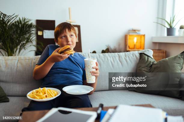 excited little boy ready to enjoy a delicious burger and fries - little kids belly imagens e fotografias de stock